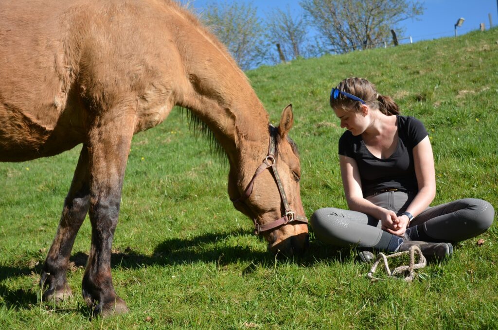 Entspannung mit dem Pferd