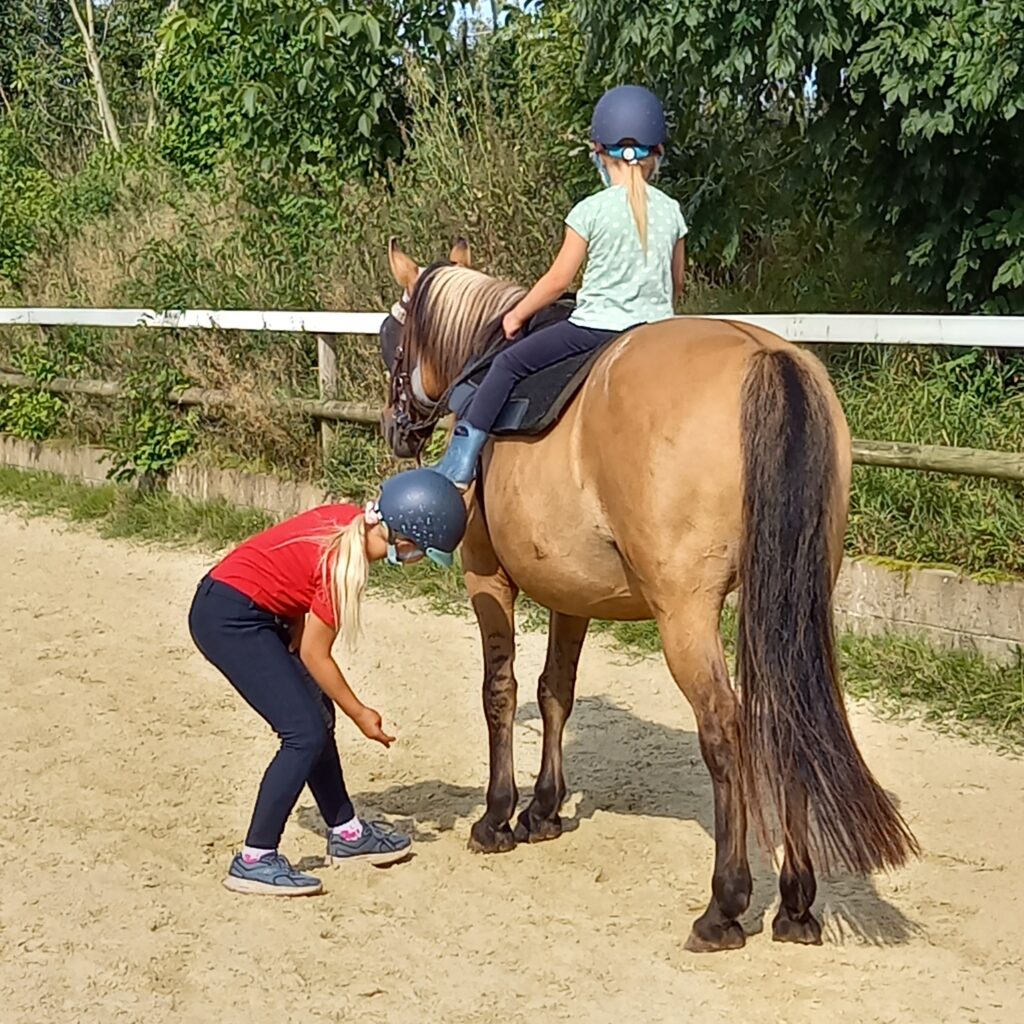 Reiten auf dem Pferd