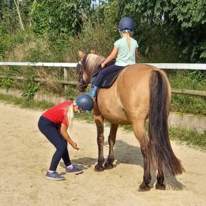 Reiten auf dem Pferd