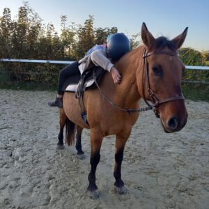 Übung auf dem Pferd